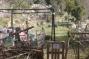 Permaculture